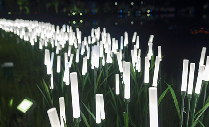 成都世警會正火熱開展，華體用夜景照明這樣添彩世警會